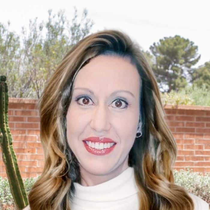 Dr. Kristine Andersen, LMSW